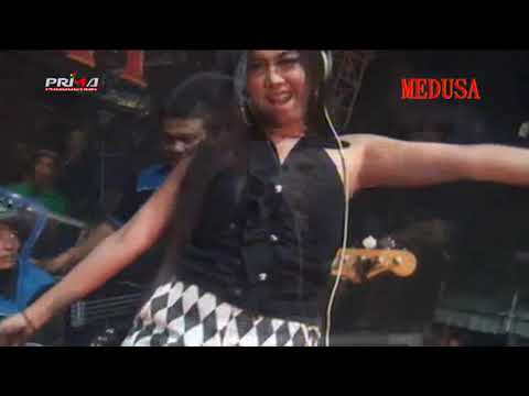 download lagu mp3 mp4 Dj Medusa Live, download lagu Dj Medusa Live gratis, unduh video klip Dj Medusa Live