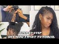 Mini Twist Tutorial With Extensions STEP BY STEP INSTALLATION FOR BEGINNERS Ft Ywigs Hair