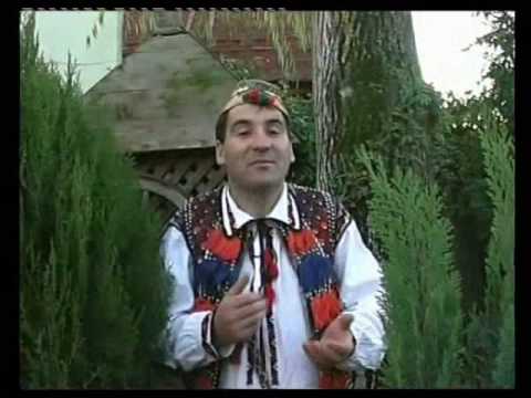 Petrica Blidaru - Voi romani din tari straine