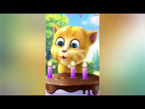 ginger new video 🥳🍉🥞🌰 #ginger #viralvideo #cat