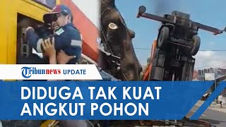 VIRAL Video Truk Terjungkir karena Tidak Kuat Angkut Potongan Pohon di Malang, Tak Ada Korban Jiwa