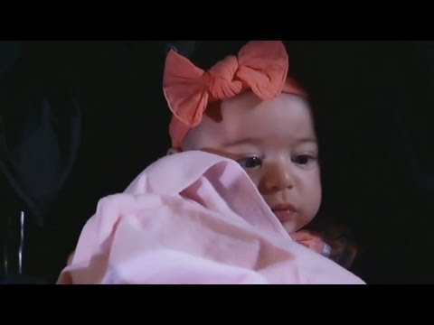 6-6-17 (2)  nuJaSam & Scout - Meet Emily Scout