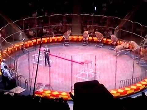 арена цирка для презентации. эквилибристы в цирке. цирк композиция. музыка под цирк. музыка под цирк.