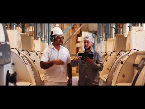 A New Era in Brazilian Milling: Alapala's 600 TPD Mill for Marata Group