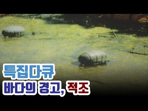 죽음의 붉은 띠, 적조 red tide  赤潮의 원인과 해법은?  [다큐_바다의 경고, 적조]