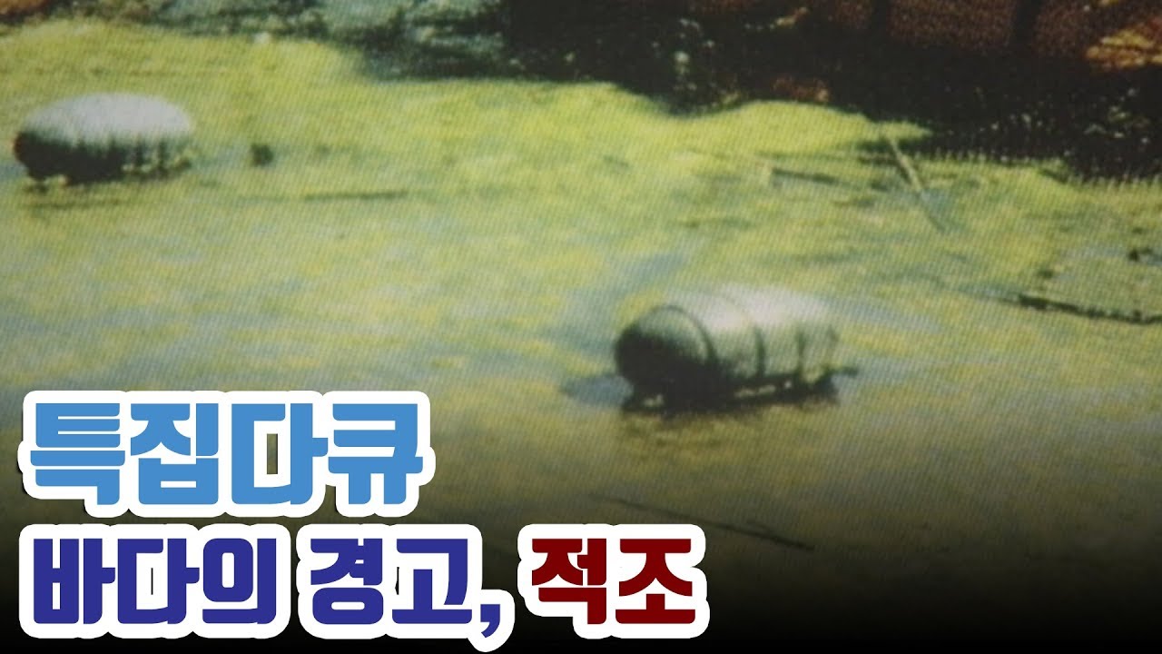 죽음의 붉은 띠, 적조 red tide  赤潮의 원인과 해법은?  [다큐_바다의 경고, 적조]