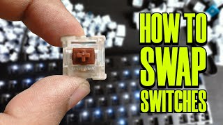 How to Replace Switches on Hotswappable Mechanical Keyboard | Keychron C1 Gateron Brown Switches