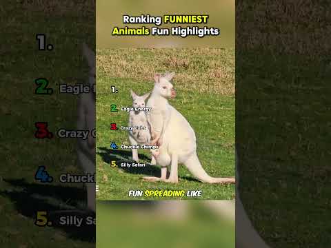 Ranking FUNNIESTAnimals Fun Highlights P.6 || #shorts #ranking #rankingshort  #funnyshorts