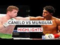 Canelo Alvarez vs Jaime Munguia Highlights & Knockouts