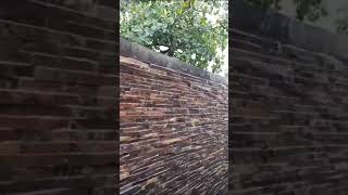 Miniatura del video
