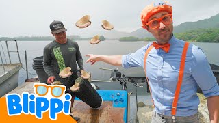 Blippi Drives a Boat in Hawaii and Learns How Oysters Are Farmed | Blippi | How Does It Work?