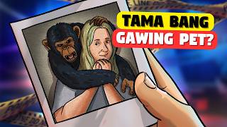 Ang Maamong Chimpanzee na di Dapat Inalagaan
