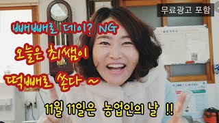 11월 11일 빼빼로 데이? 오늘 난 '떡빼로'를 뽑았다 !!
