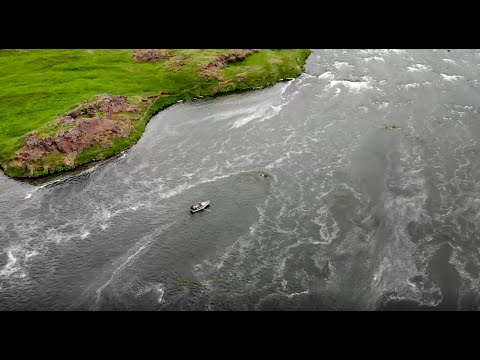 Brown trout fishing