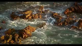 Download lagu Rush - No One At The Bridge mp3 Download lagu Rush - No One At The Bridge mp3