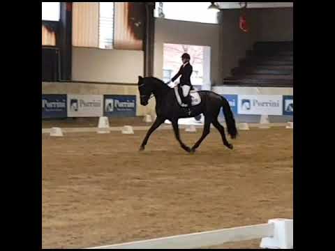 Wallach 2014 von Fantastic/Rohdiamant