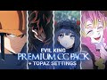 Evil King Premium Cc Pack After Effects Topaz Settings Anime Aftereffects