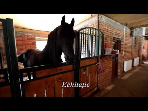 Centrul de echitatie R&R Podari