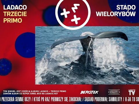 Ladaco — Stado wielorybów