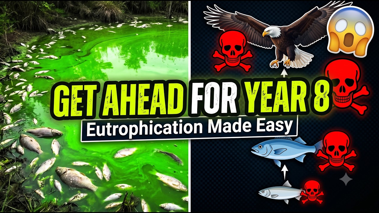 Year 7 Biology: Eutrophication