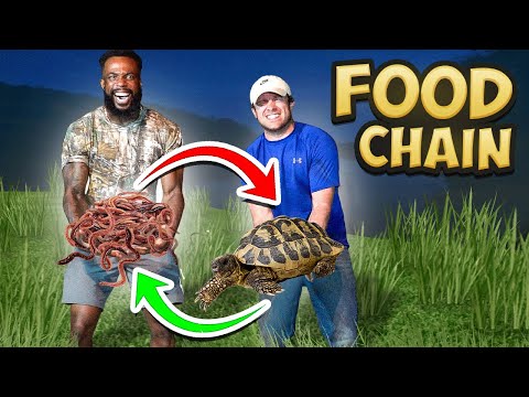 Food Chain Fishing Challenge (Grub Worms to Giant Catch!)