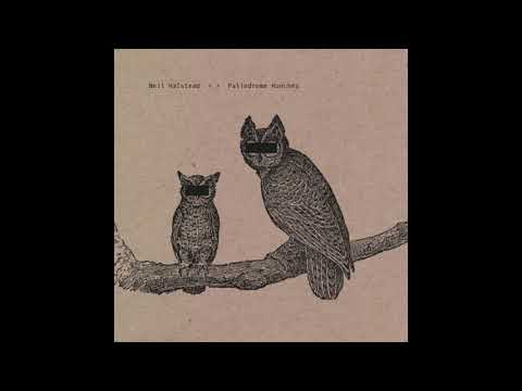 Palindrome Hunches video