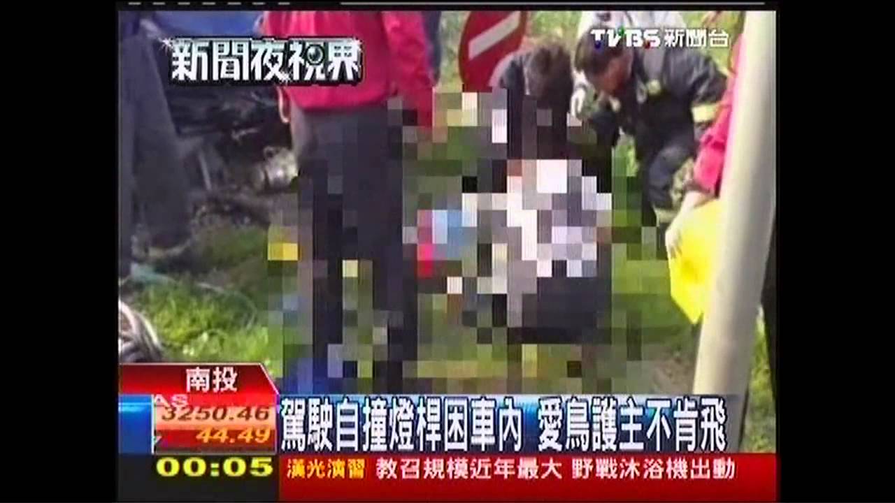 駕駛自撞燈桿困車內 愛鳥護主不肯飛