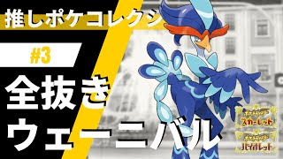 ウェーニバルで全抜きする戦術がこの動画でわかります！推しポケコレクション #3 ウェーニバル【ポケモンSV】【ドラゴンテラスドラパルト】【スカーレット・バイオレット】
