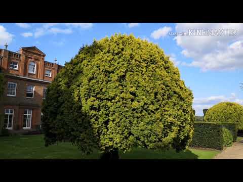 #The Grove#  5 Star Hotel on 300 acre land with ⛳Golf  course and huge garden