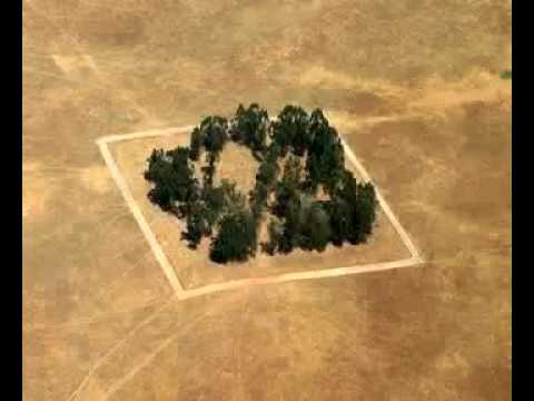 Boas Festas! E cante para um 2017 de diálogo e paz pela Mostafa Swapan Anwar and Mestre André