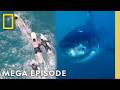 When Sharks Attack 360 Perfect Storms Wild Weather MEGA EPISODE National Geographic
