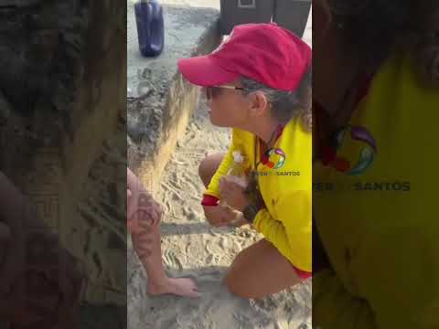 Inverno nas praias exige mais atenção com as águas-vivas.