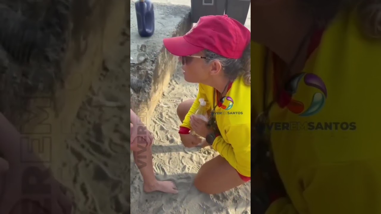 Inverno nas praias exige mais atenção com as águas-vivas.