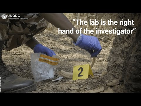 UNODC - United Nations Office on Drugs and Crime