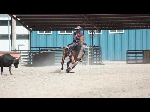 Video 1