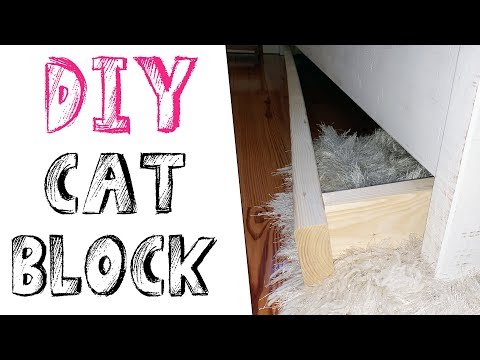 YouTube video about: How to keep cats from under the bed?
