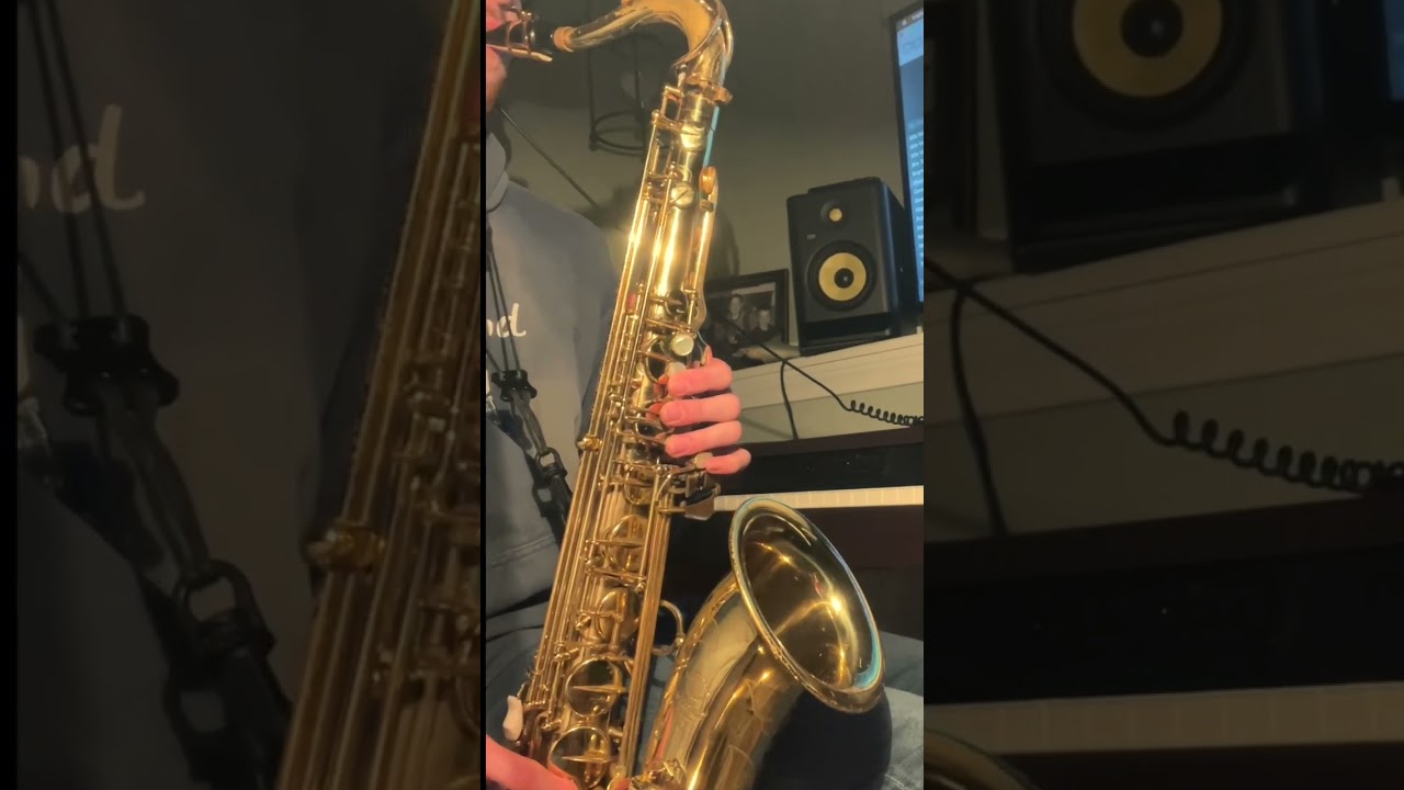Promotional video thumbnail 4 for Saxophone Player- All Genres-