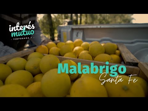 Malabrigo (Santa Fe) Temporada 7 - Interés Mutuo