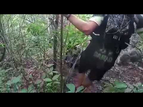 Três picos palmácia Ce #sejacriador #serra #aventura #trailrun #trailrunbr 