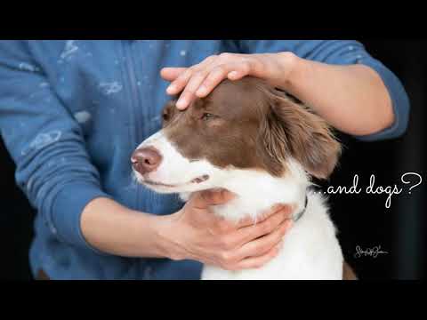 Maiju BGI®  Animals promo