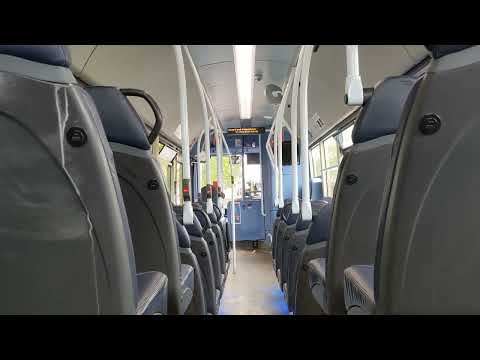 Orbiting Gateshead | Service 51: 5446/NK66EVG - Wright Streetlite DF