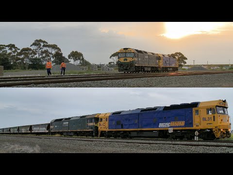 5GK5 Pacific National Locomotives Attach To Grain Hoppers (1/11/2019) - PoathTV Australian Trains
