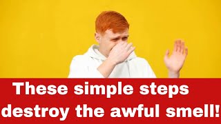 How to Get Rid of Dead Animal Smell [Detailed Guide]