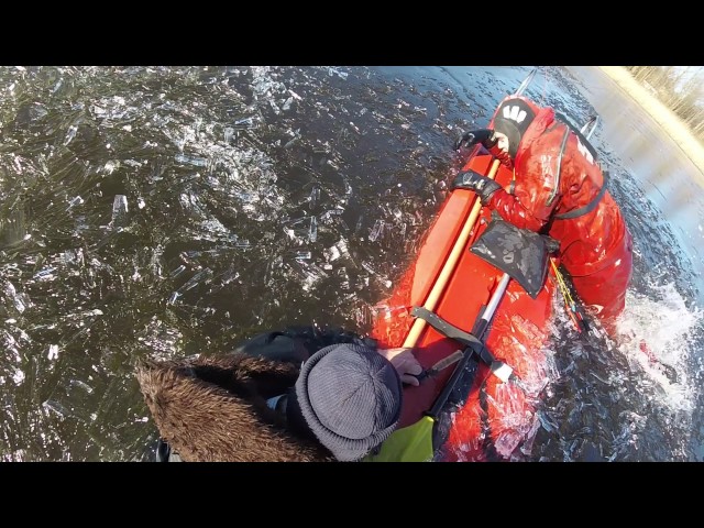 Мужчина провалился под лед и застрял в холодной воде. Ждать помощи было не от кого, но внезапно появились они!