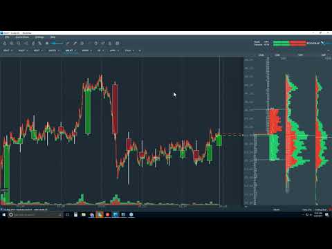 2017-08-22 Bookmap Platform Details - Tue