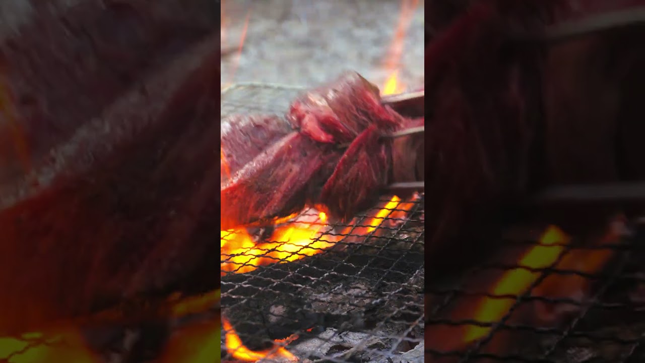 HONDA NSX camping travel in japan with dog ASMR #short #automobile #camping #キャンプ