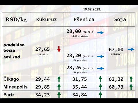 SUNOVRAT CENE I PROPAST U PROIZVODNJI PSENICE