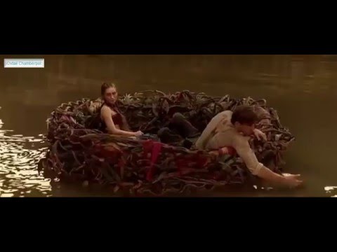 Pan - Hook Highlights