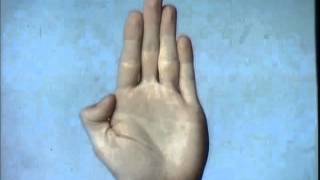 Sesame Street - There Once Was A Hand (1969)