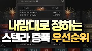 [레이븐2] PVP기준 스텔라 증폭 우선순위